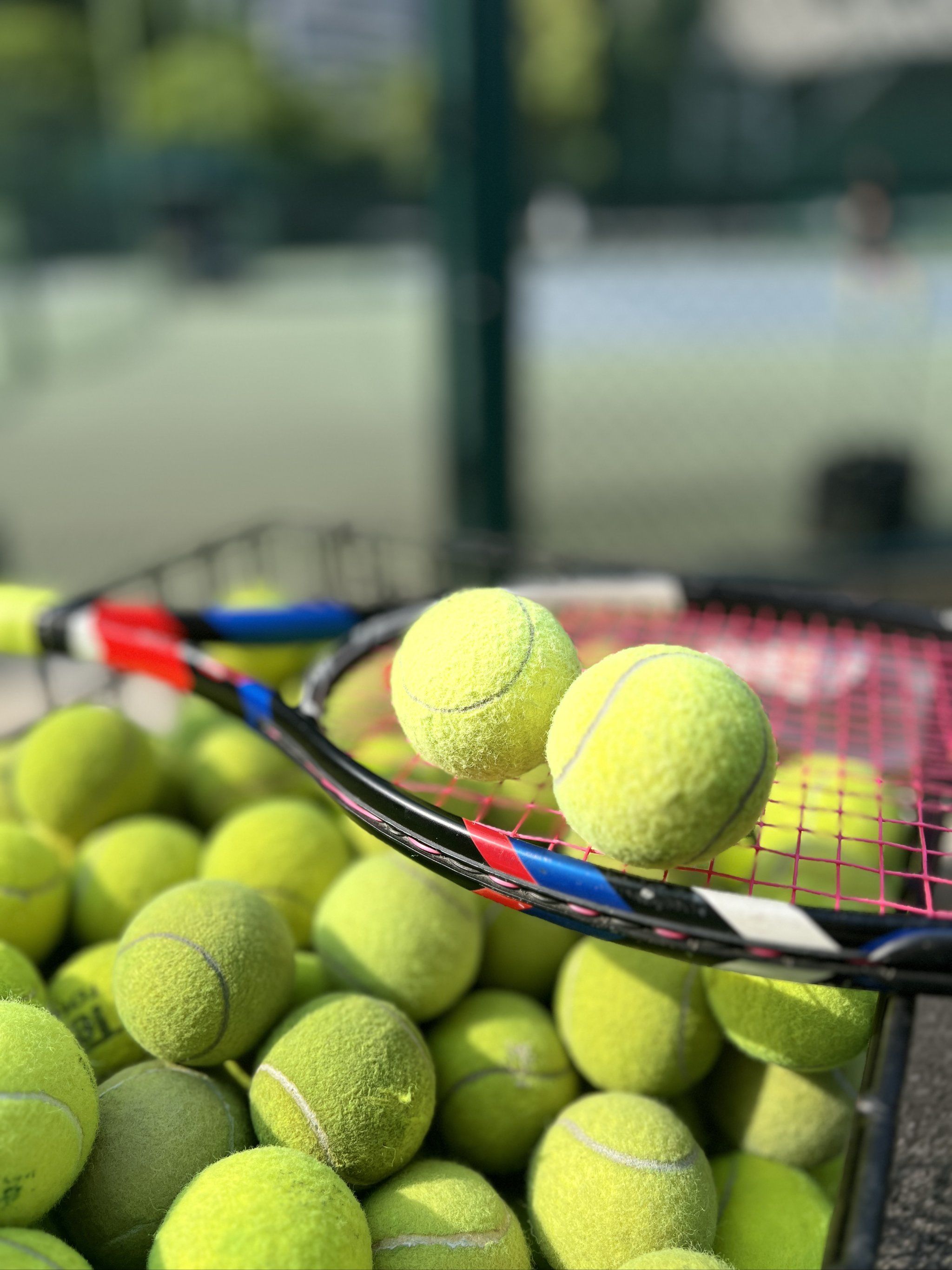 快速的网前 快速的网前