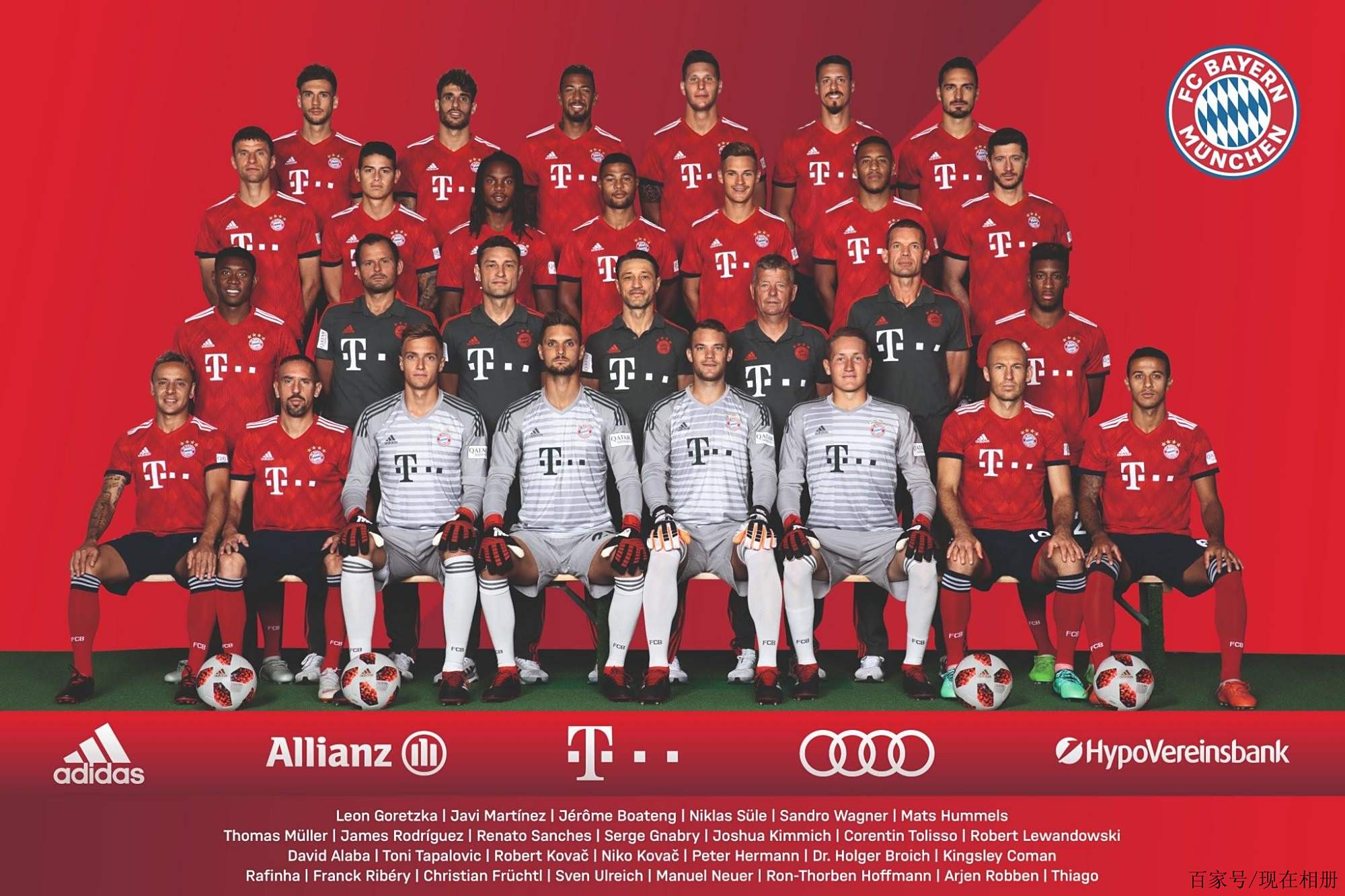 了这支队伍 了这支队伍