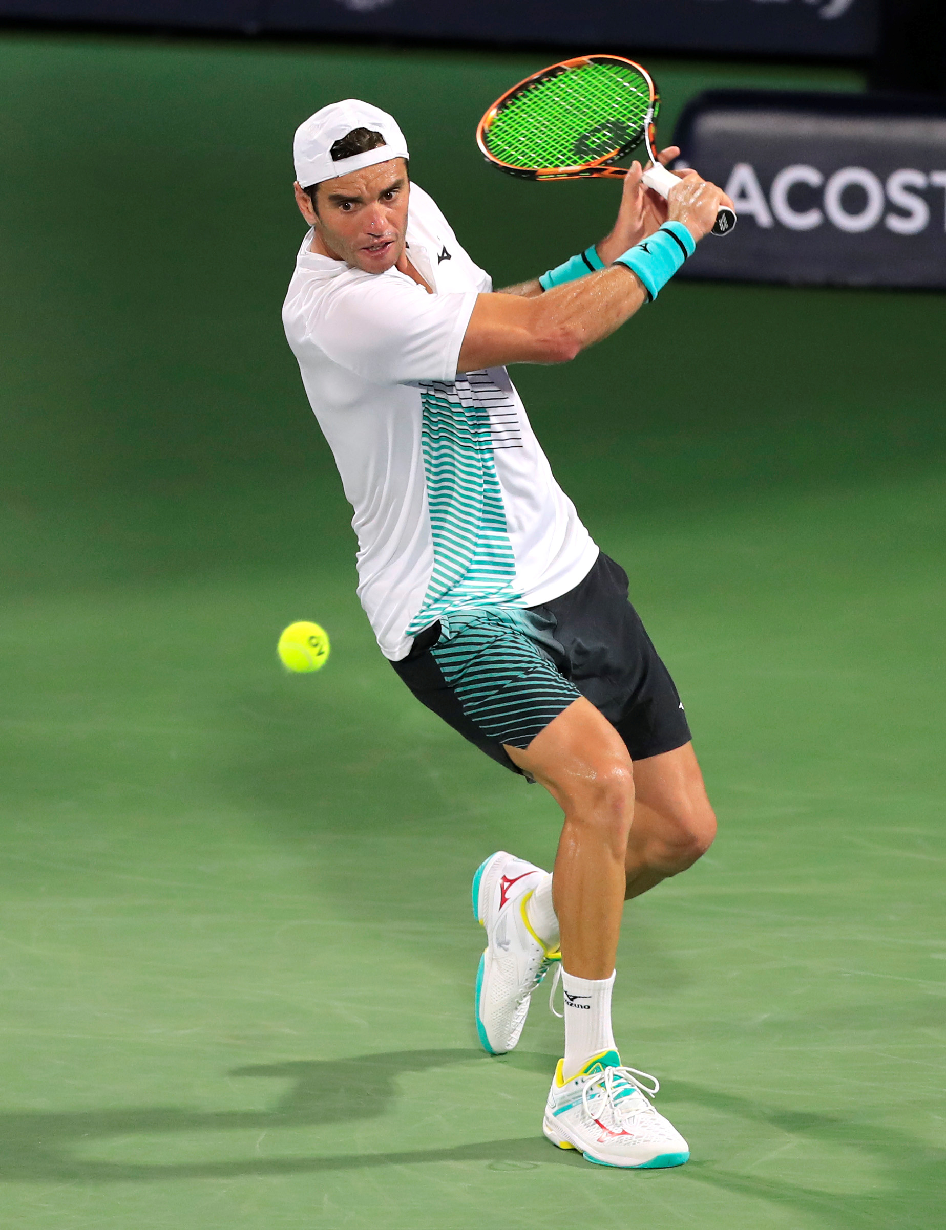 动作的部位 动作的部位