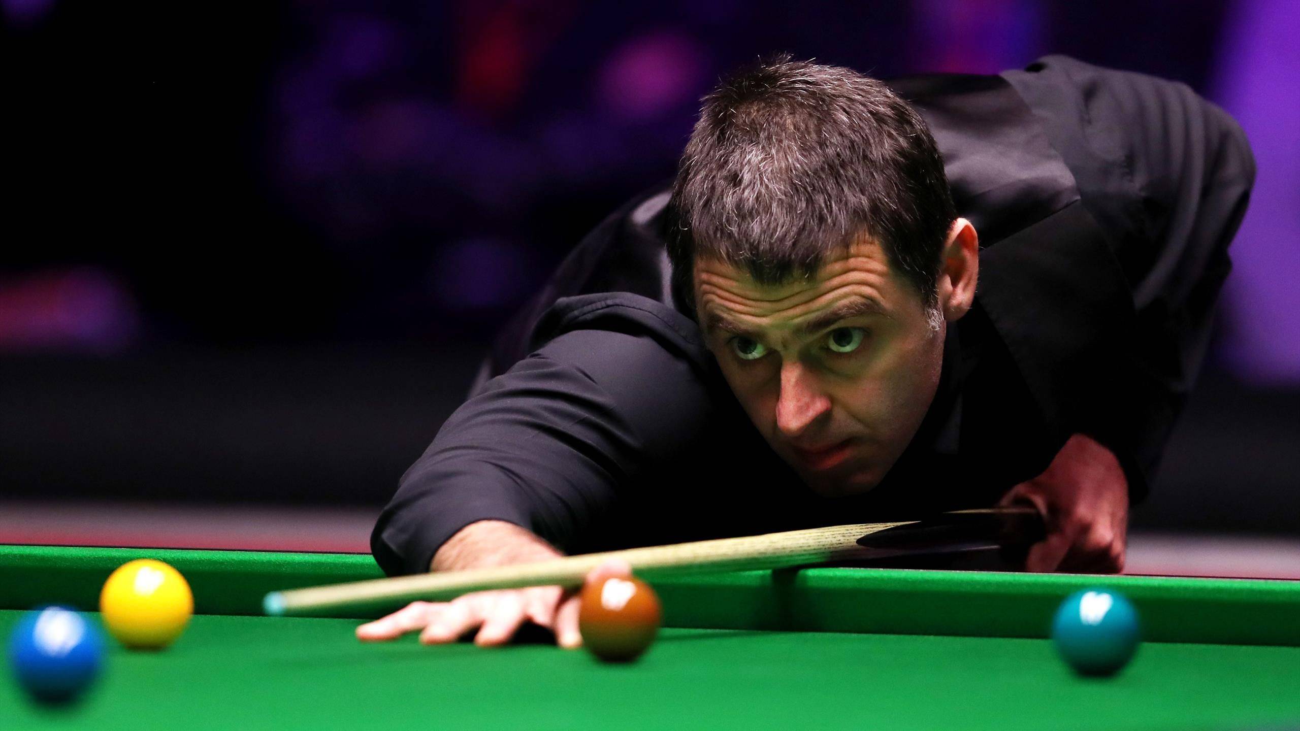 是风险之举 是风险之举