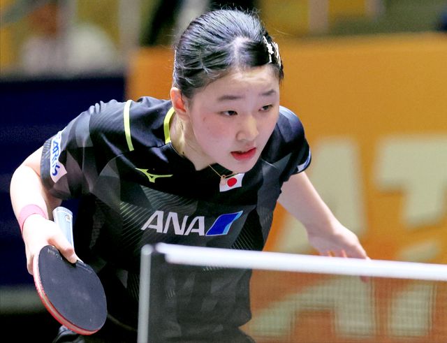 不可忽视 不可忽视